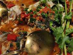 -坛宗剁椒鱼头(河西王府井店)