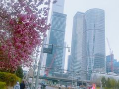 -中央广播电视总台(光华路办公区)