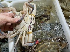 -金沙滩海鲜餐厅·海肠捞饭·手工水饺·无预制菜(梅江龙水园店)