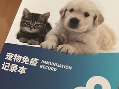 -关爱宠物医院·猫科中心·消化科(滨湖万达分院)