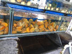 水产区-海精英海鲜世界(台海路店)