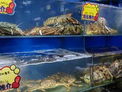 -蚝专家(北滘店)