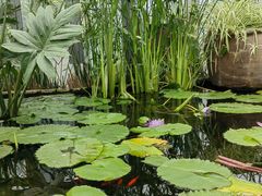 -国家植物园南园