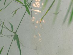 -杭州黄龙洞