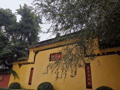 -闻酥园(青羊区文殊坊店)