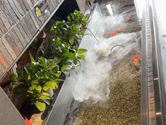 -0776食堂·京城创意菜(七里庄店)