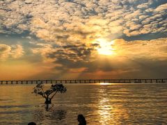 -宝安西湾红树林湿地公园