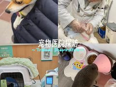 -联合动物医院(光谷诊疗中心)