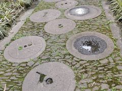 -龙潭水乡