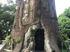 -青青世界