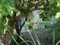 -梁鸿国家湿地公园