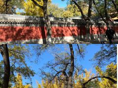 -北京国子监胡同