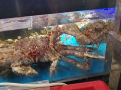 -盒马鲜生(岭南新世界店)