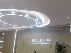 -上海首尔丽格医疗美容医院