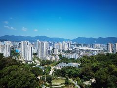 -金鸡山公园