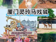 -灵玲国际马戏城