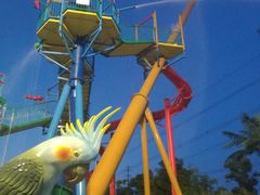 -苏州乐园森林水世界