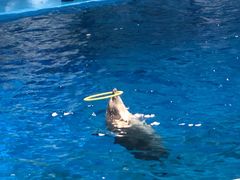 -多彩贵州城极地海洋世界