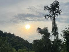 -重庆海昌加勒比海水世界