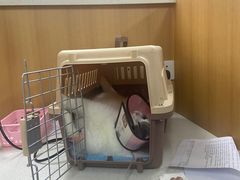 -联合动物医院(光谷诊疗中心)