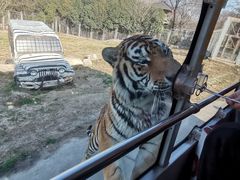 -西安秦岭野生动物园