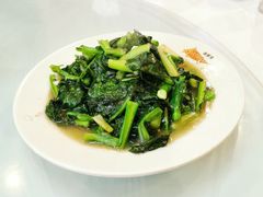 -京北渔家傲