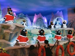 -帝企鹅自助餐厅•儿童岛•真企鹅(长隆企鹅酒店)