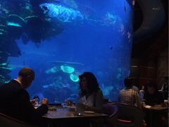 -迪拜帆船酒店海底餐厅