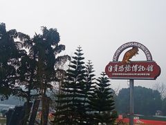 -自贡恐龙博物馆