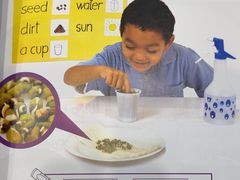 -I-Shine英语国际教育(大三林中心)