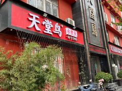 门面-天堂鸟水煮鱼·品质川菜(凤凰路店)