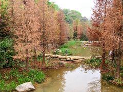 -云溪植物园