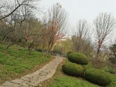 -洛阳市隋唐城遗址植物园