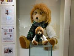 -济州岛泰迪熊博物馆