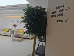 -华臣医疗美容
