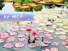 -国家植物园南园