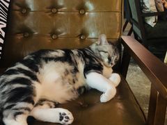 -咖法森林·咖啡  酒吧(天河店)