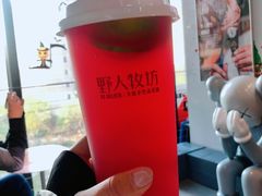 -野人牧坊Gelato(天津南开大悦城店)