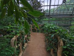 -南山植物园