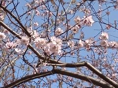 -大望京公园