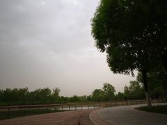 -永定河休闲森林公园