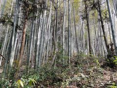 -五泄景区