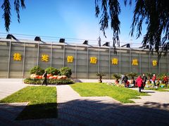 -北戴河集发农业梦想王国
