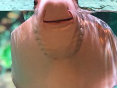 -沈阳海洋探索中心