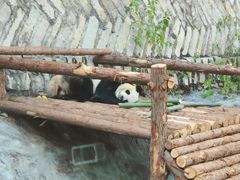 -泉州海丝野生动物世界