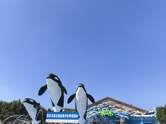 -石家庄极地海洋世界
