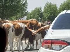 -库伦旗银沙湾旅游景区