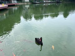 -春晖园度假酒店温泉