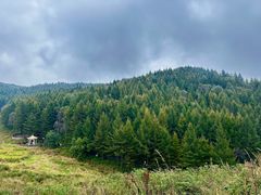 -驼梁风景区