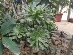 -郑州植物园